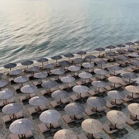 Giannoulis カテリーニ